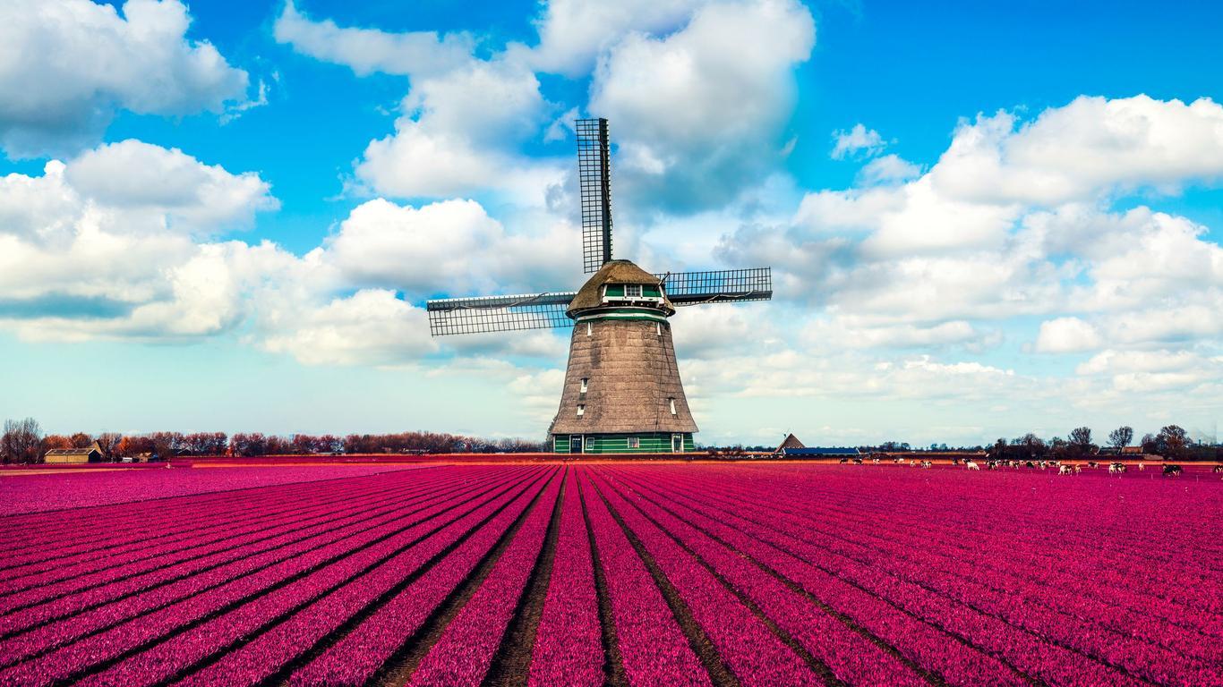 Netherlands