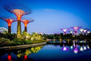 singapore_ (7)