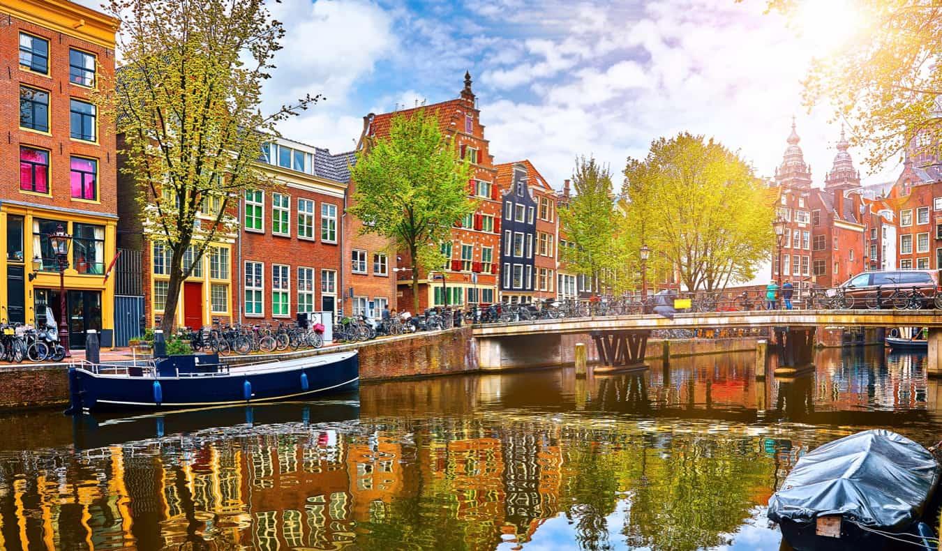 amsterdamneighborhood1