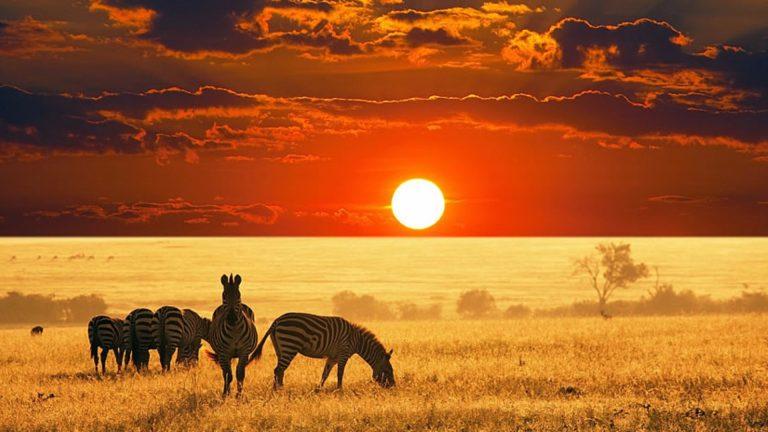 Africa_banner