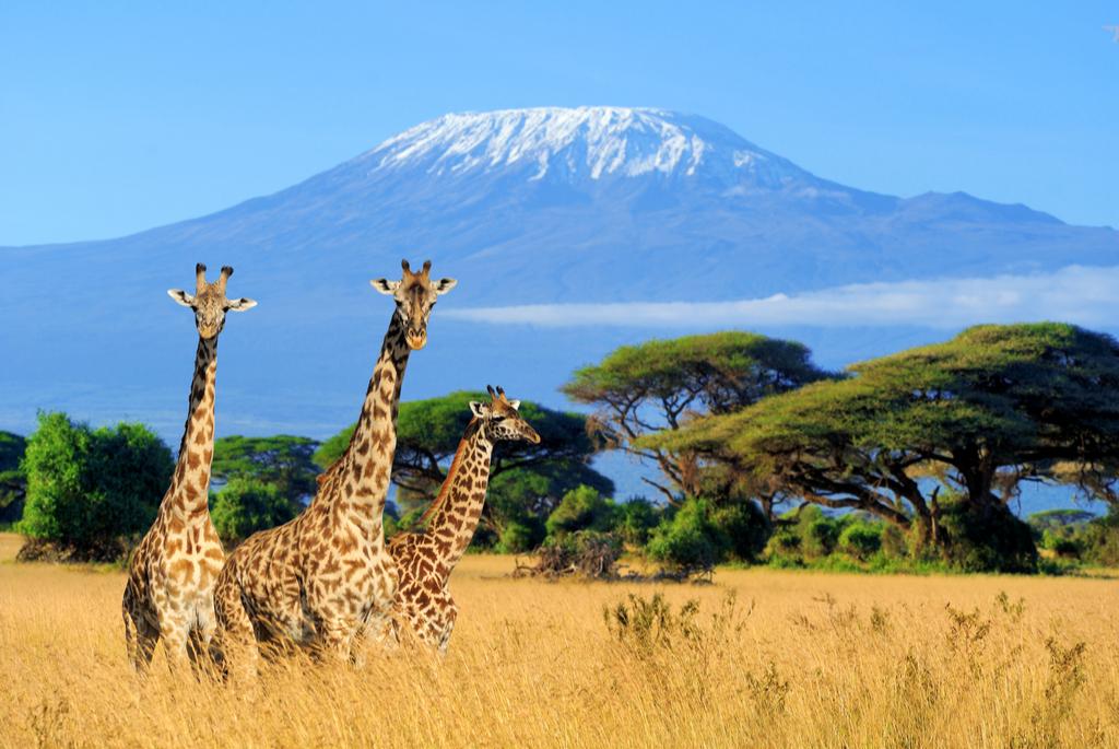 Africa_dest