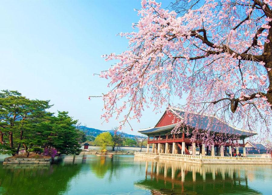 south_korea-2